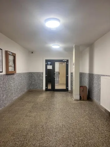 Prodej bytu 1+kk, Ostrava - Zábřeh, Petruškova, 28 m2