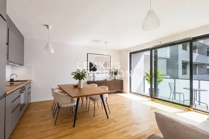 Prodej bytu 1+kk, Praha - Žižkov, U Viktorie, 40 m2