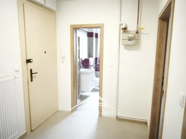 Pronájem bytu 2+kk, Plzeň, Třebízského, 52 m2
