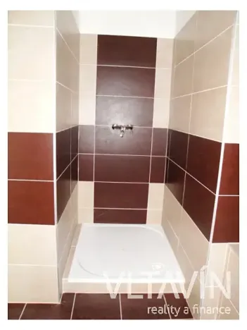 Prodej bytu 2+kk, Praha, Pod Formankou, 55 m2