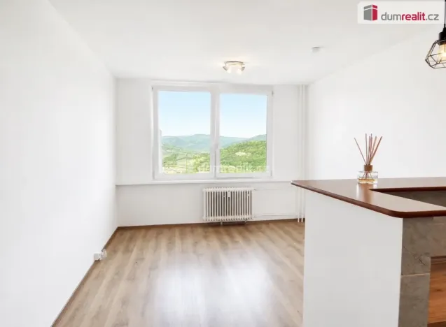 Pronájem bytu 1+kk, Ústí nad Labem - Krásné Březno, Rozcestí, 26 m2
