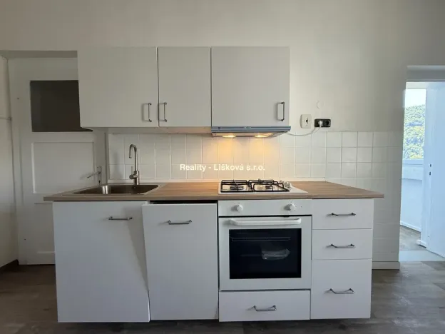 Pronájem bytu 2+1, Ústí nad Labem - Střekov, Purkyňova, 59 m2
