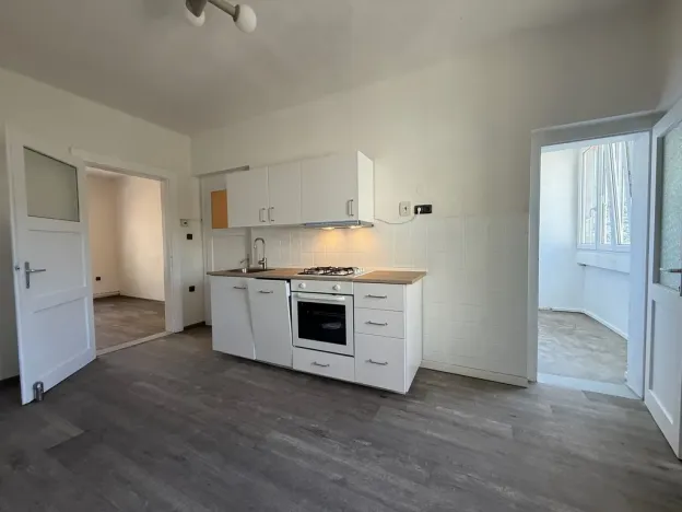 Pronájem bytu 2+1, Ústí nad Labem - Střekov, Purkyňova, 59 m2