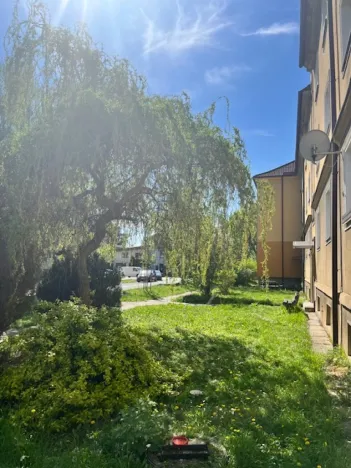 Pronájem bytu 2+1, Pardubice - Zelené Předměstí, Sokolovská, 61 m2