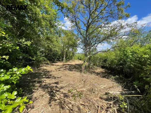 Pronájem zahrady, Lipník nad Bečvou, 851 m2