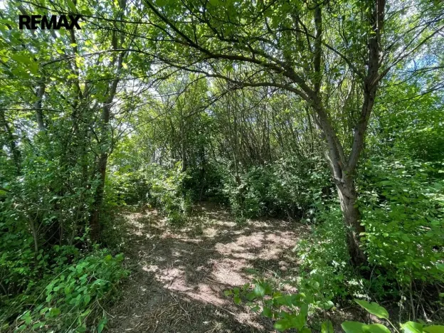 Pronájem zahrady, Lipník nad Bečvou, 851 m2