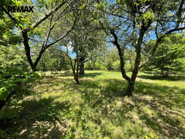 Pronájem zahrady, Lipník nad Bečvou, 2982 m2