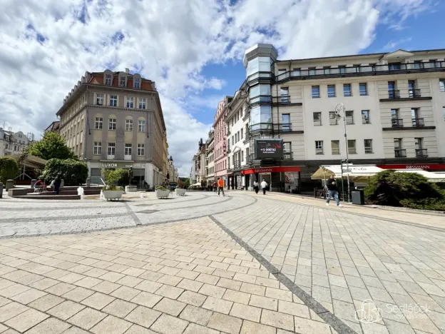 Pronájem komerční nemovitosti, Karlovy Vary, Dr. Davida Bechera, 102 m2