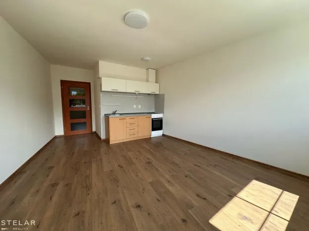 Pronájem bytu 1+kk, Opava, Hálkova, 33 m2