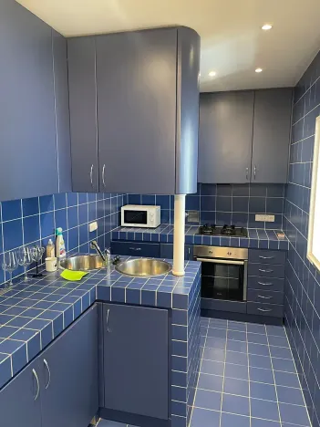 Pronájem bytu 3+kk, Praha - Vinohrady, Anny Letenské, 107 m2