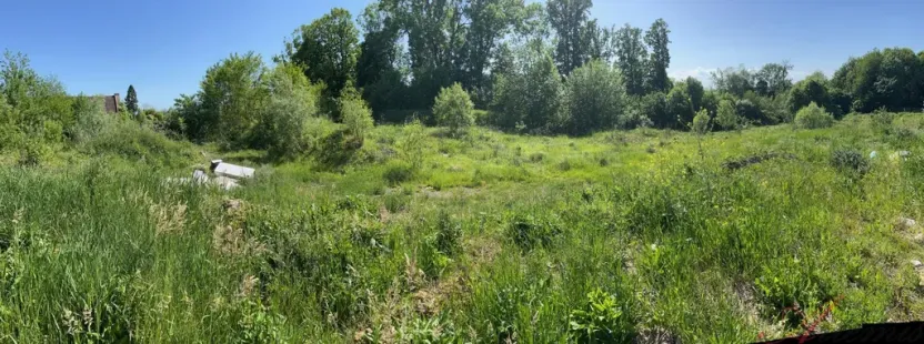 Prodej zahrady, Sedlnice, 14247 m2