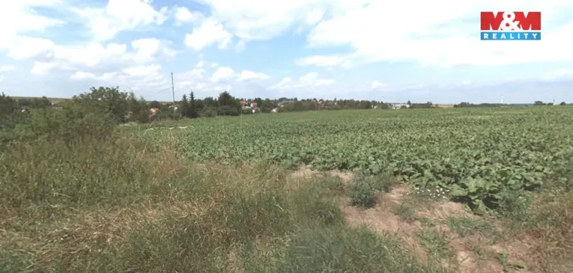 Prodej pozemku pro bydlení, Polepy, 5853 m2