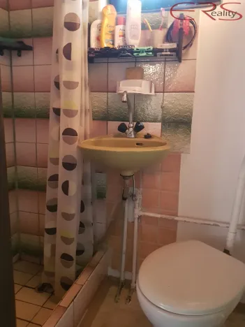 Prodej chaty, Rádlo, 27 m2