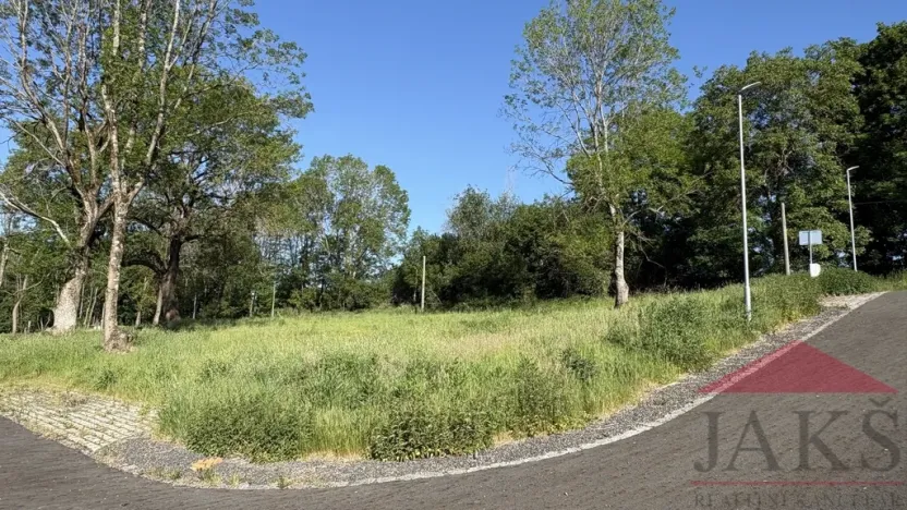 Prodej pozemku pro bydlení, Chudenín, 2119 m2