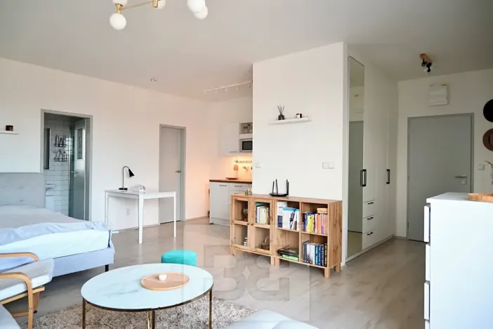 Pronájem bytu 1+kk, Brno, 40 m2
