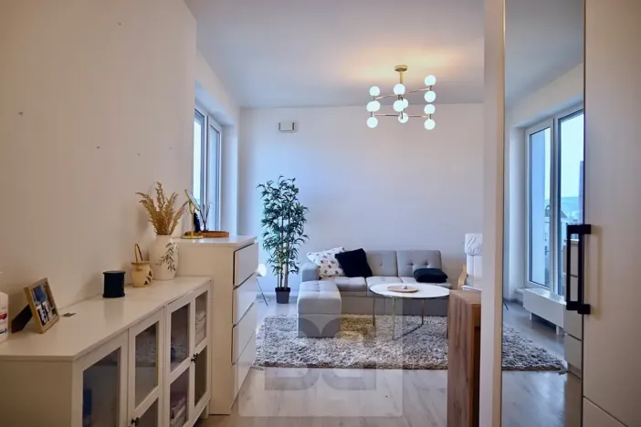 Pronájem bytu 1+kk, Brno, 40 m2