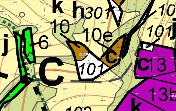 Dražba lesa, Hovězí, 1547 m2