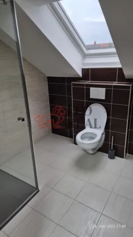 Pronájem bytu 2+kk, Křenovice, Mlýnská, 54 m2