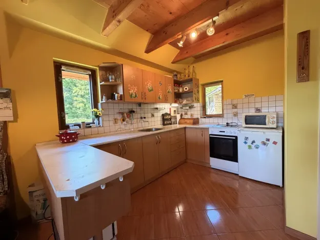 Prodej chaty, Zábřeh - Dolní Bušínov, 95 m2