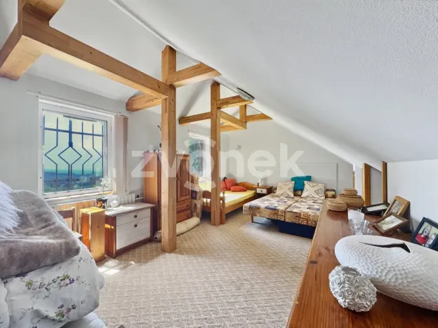 Prodej chaty, Bystřice pod Lopeníkem, 168 m2
