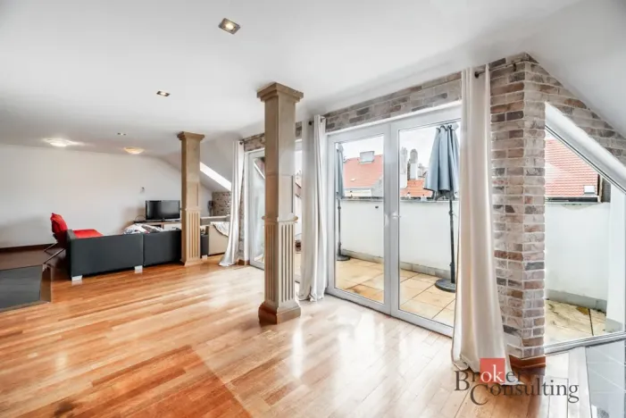 Prodej bytu 6+kk a větší, Praha - Žižkov, Hartigova, 187 m2