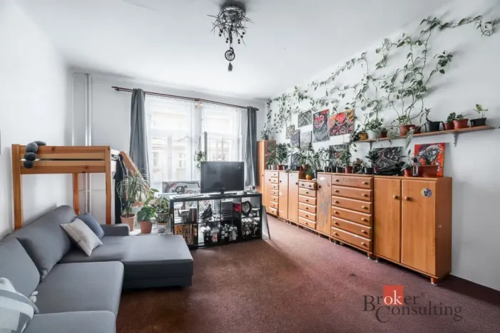 Prodej bytu 6+kk a větší, Praha - Žižkov, Hartigova, 187 m2