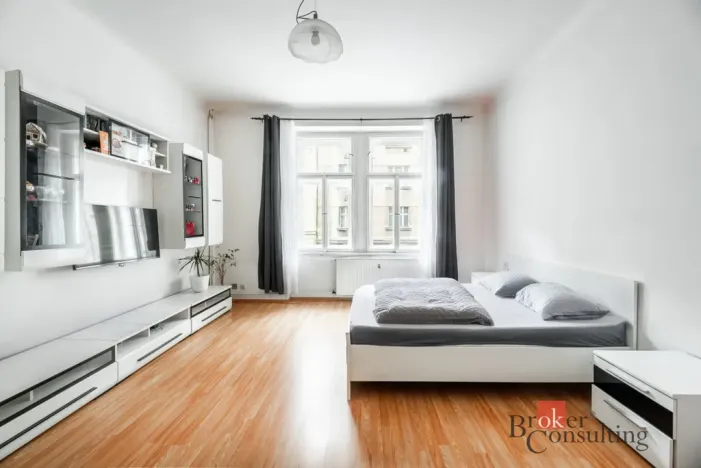 Prodej bytu 6+kk a větší, Praha - Žižkov, Hartigova, 187 m2