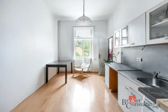 Prodej bytu 6+kk a větší, Praha - Žižkov, Hartigova, 187 m2