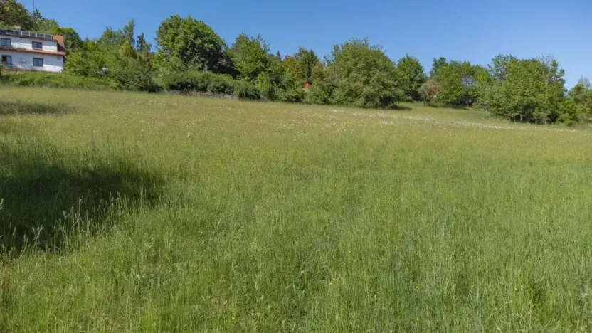 Prodej pozemku pro bydlení, Sušice - Záluží, 3500 m2