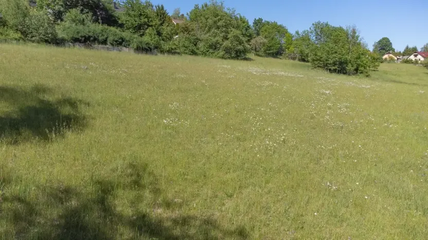 Prodej pozemku pro bydlení, Sušice - Záluží, 2272 m2