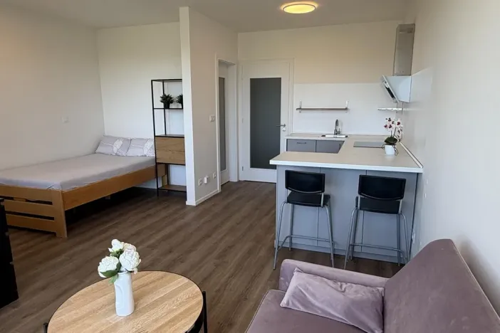 Pronájem bytu 1+kk, Praha - Černý Most, Arnošta Valenty, 38 m2