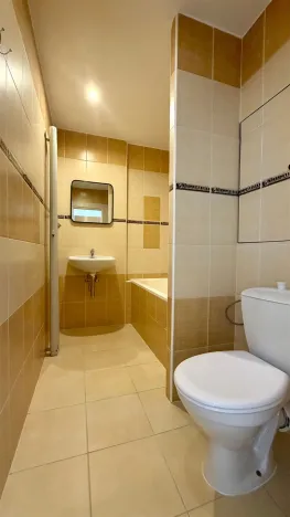 Pronájem bytu 1+1, Cheb, Májová, 38 m2