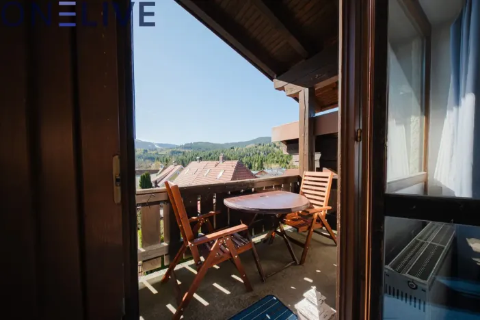 Prodej bytu 1+kk, Železná Ruda - Alžbětín, Německo, 25 m2