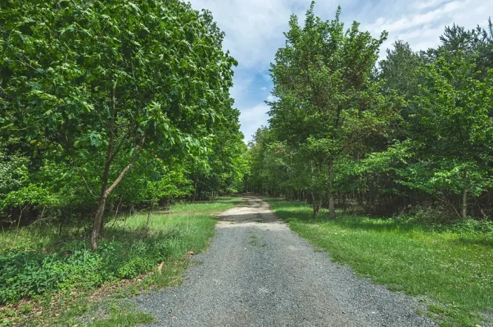 Prodej chaty, Býchory, 35 m2