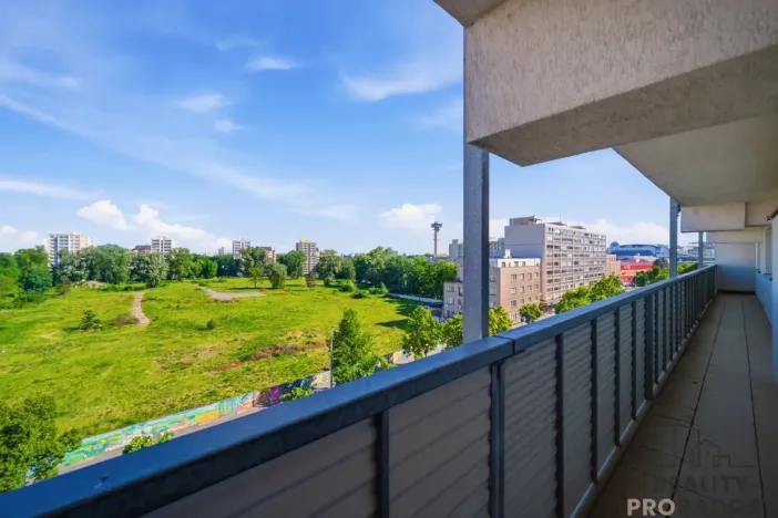 Prodej bytu 2+1, Pardubice - Zelené Předměstí, Palackého třída, 69 m2