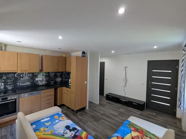 Pronájem bytu 1+1, Meziboří, Prokopa Holého, 34 m2