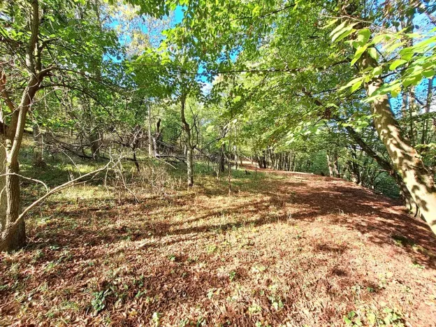 Prodej pozemku pro bydlení, Kanina, 10842 m2