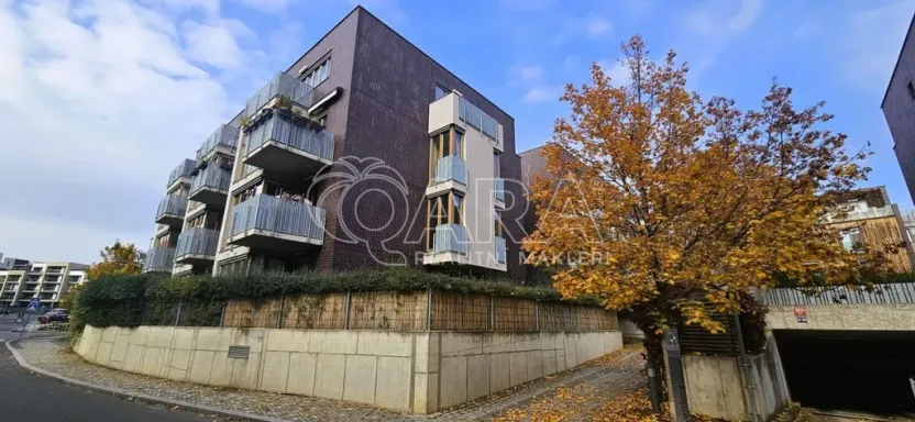 Pronájem bytu 2+kk, Praha - Žižkov, Olgy Havlové, 50 m2
