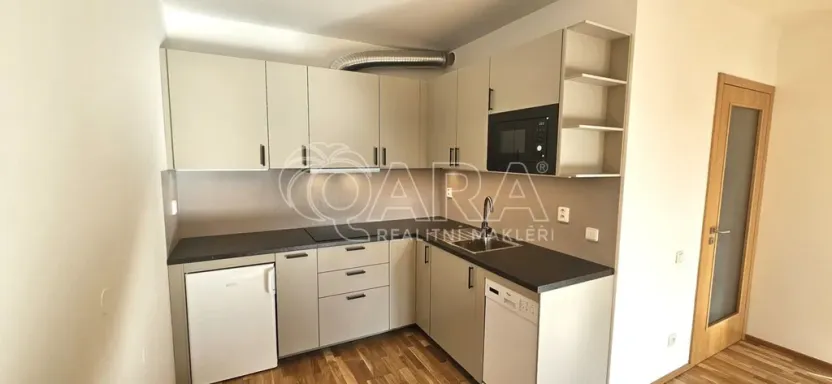 Pronájem bytu 2+kk, Praha - Žižkov, Olgy Havlové, 50 m2