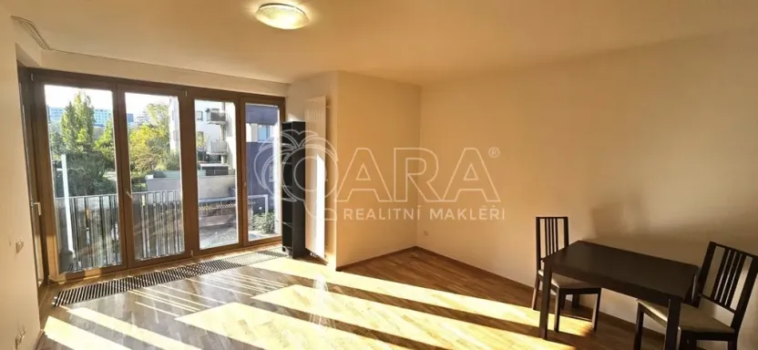 Pronájem bytu 2+kk, Praha - Žižkov, Olgy Havlové, 50 m2
