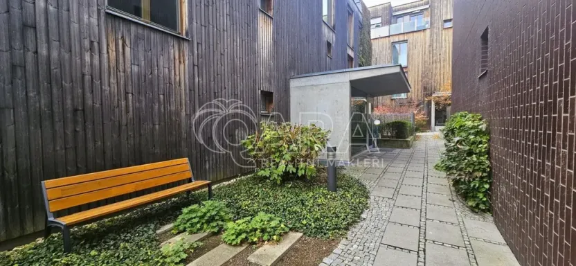 Pronájem bytu 2+kk, Praha - Žižkov, Olgy Havlové, 50 m2