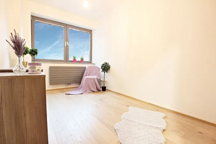 Prodej bytu 3+kk, Brno - Staré Brno, Anenská, 105 m2