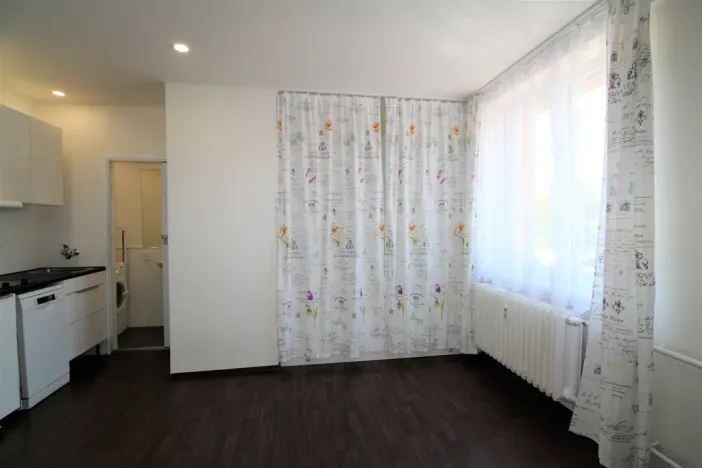 Pronájem bytu 1+kk, Plzeň - Východní Předměstí, Slovanská, 27 m2