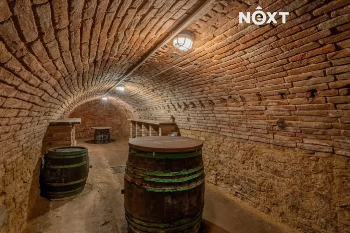 Prodej rodinného domu, Šakvice, Sklepní, 130 m2