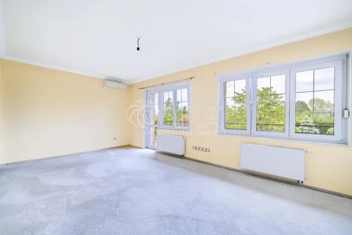Prodej rodinného domu, Týnec nad Labem - Vinařice, 384 m2