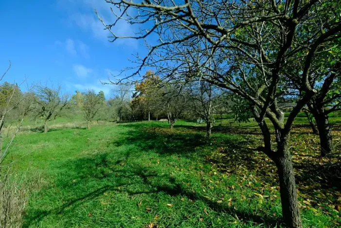 Prodej rodinného domu, Vlčnov, 75 m2