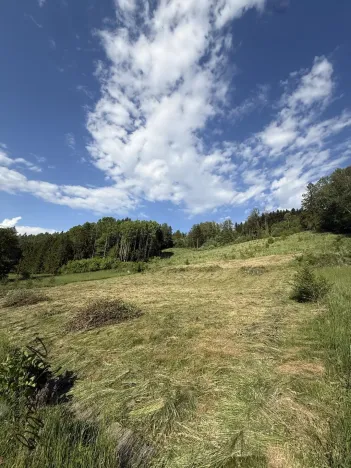 Prodej pozemku pro bydlení, Ratiboř, 2493 m2
