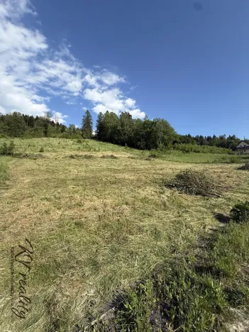 Prodej pozemku pro bydlení, Ratiboř, 2493 m2