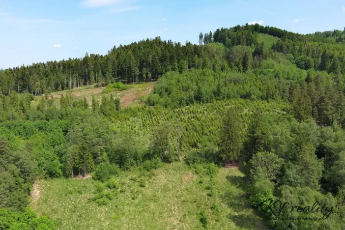 Prodej pozemku pro bydlení, Ratiboř, 2493 m2