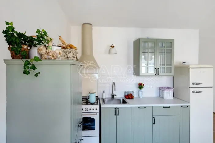 Prodej bytu 1+1, Praha - Vinohrady, Šumavská, 60 m2